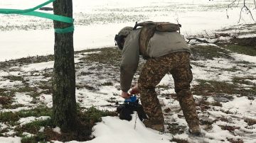 ��� ������������ �����-������-������������ ������� ��������� � ��� �����