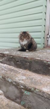 � ������ �����, � ����������� ����!