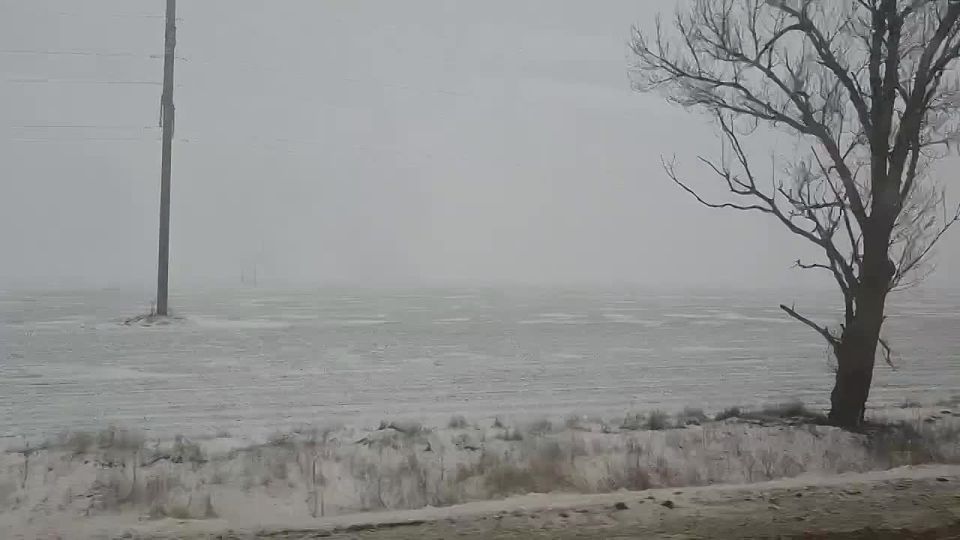 Густой туман опустился вдоль трассы «Новороссия»