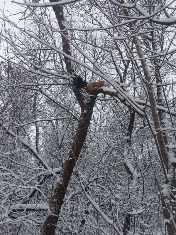 � ������ �����, � ����������� ����!