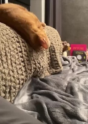 ����� � ��������� �������. ��������� �� ������ ����, ����� ����� �� ������