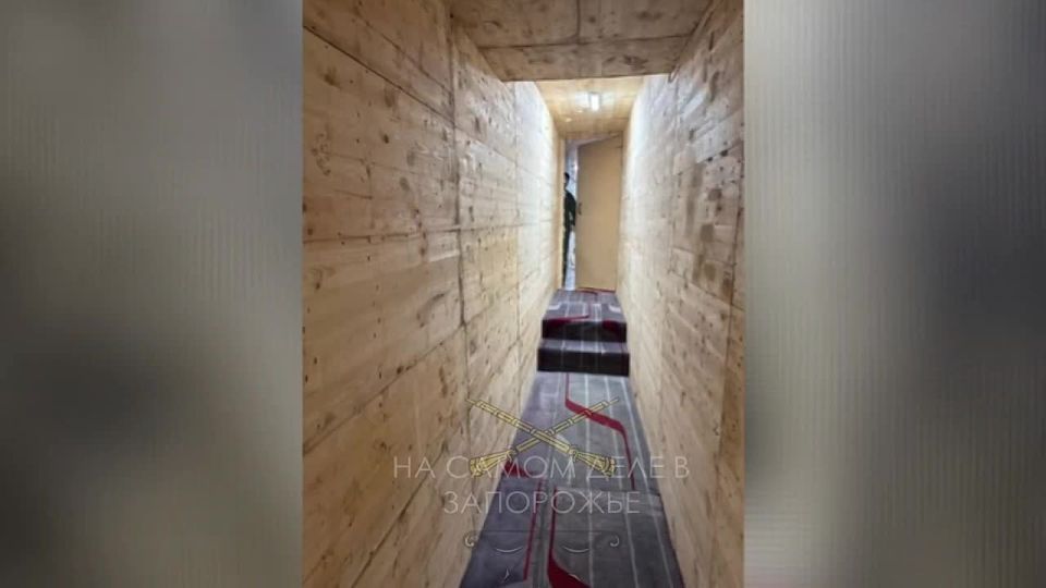 "������ � ��� ���� � �����!": ����� ��������, ��� ���������� ��������