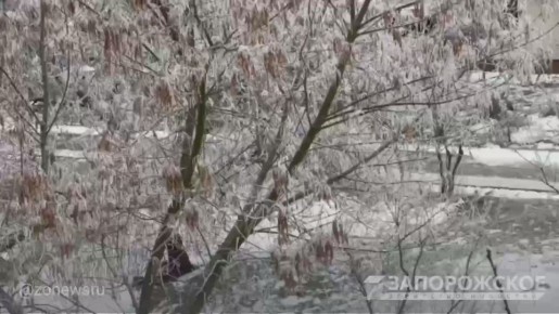 В Бердянске деревья покрылись инеем, превратив городские улицы в белое царство