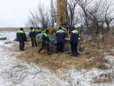 ���������� ��������� ������ ��� ���������� ������� ����������� ������ ��� ����� ���������� � ���� ������������