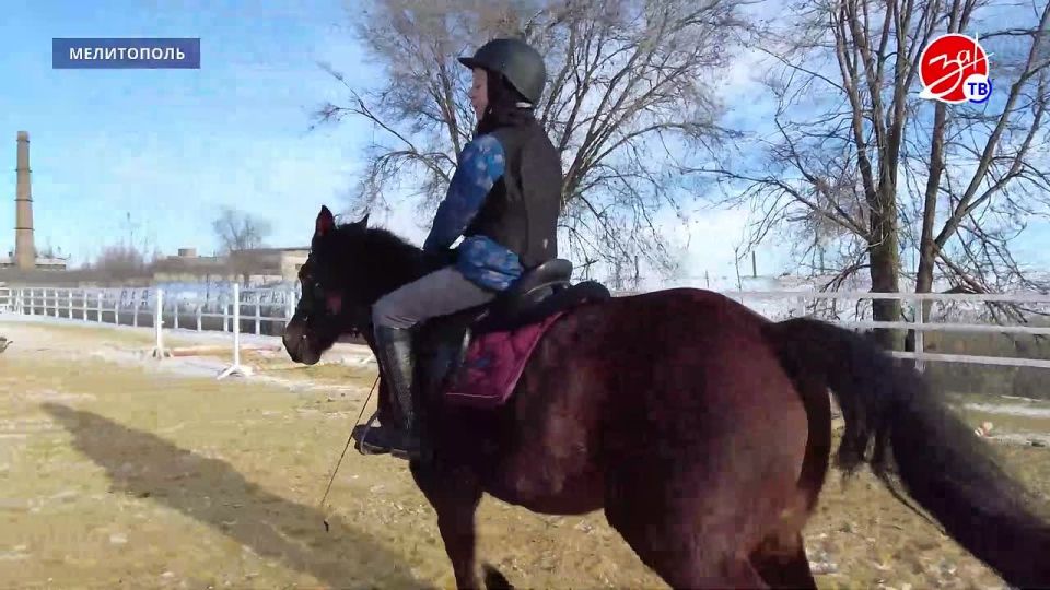 Скакуны и чемпионы: как в Мелитополе растят будущих звёзд конного спорта