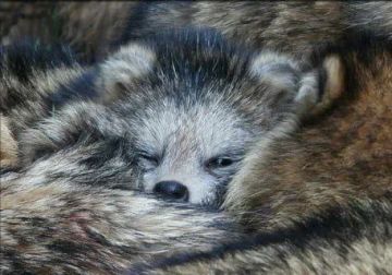 ������ ����, ������� ����������! ������ ����, ���������!