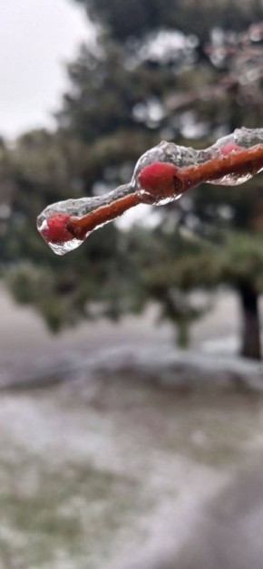 Желаем самого доброго, бодрого, счастливого, красивого, нежного, сладкого и прекрасного утра