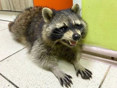 Доброе утро, друзья! Хорошего вам дня и отличного настроения!