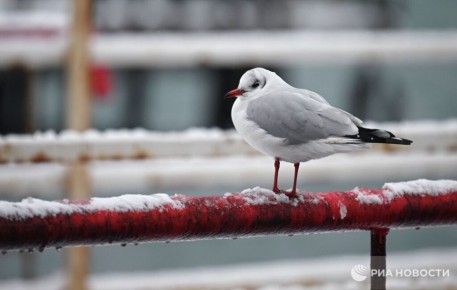 Погода на новых территориях России