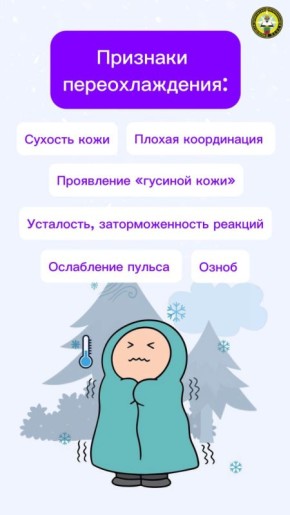 Замерзли на прогулке?. Посмотрите наши карточки о том, какие шаги предпринять, если почувствовали сильное переохлаждение