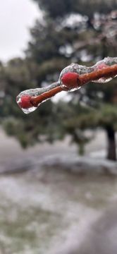 Желаем самого доброго, бодрого, счастливого, красивого, нежного, сладкого и прекрасного утра