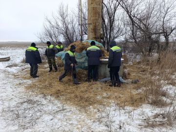 ���������� ��������� ������ ��� ���������� ������� ����������� ������ ��� ����� ���������� � ���� ������������