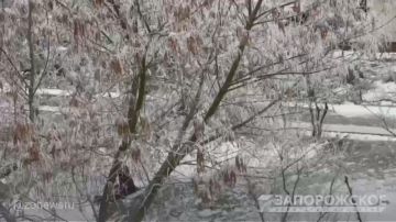 � ��������� ������� ��������� �����, ��������� ��������� ����� � ����� �������