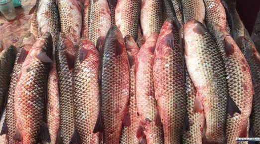 ����� ��������� � �������� ���� ����� �� 26%