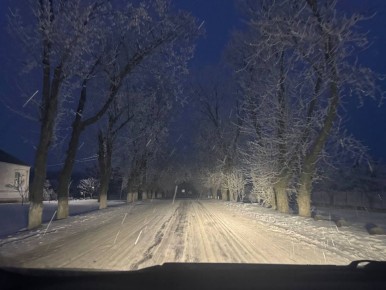 ������ �������� ����