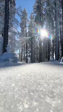 ������� ����, ������� ������������!!!