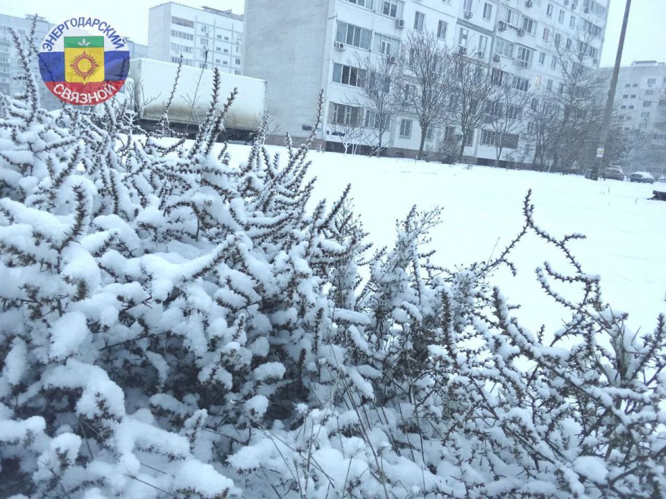 Доброе утро, друзья.. Хотим пожелать, чтобы это таинственное зимнее утро исполнило все желания, чтобы все дела, запланированные на грядущий день, обязательно реализовались