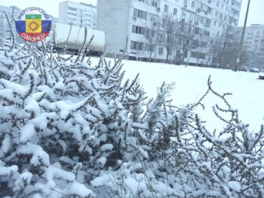 Доброе утро, друзья.. Хотим пожелать, чтобы это таинственное зимнее утро исполнило все желания, чтобы все дела, запланированные на грядущий день, обязательно реализовались