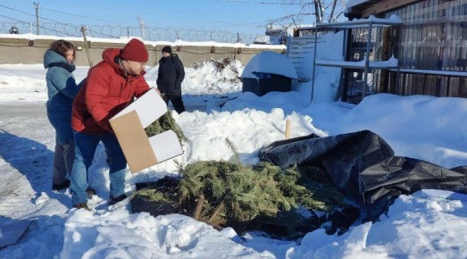 Новороссия и Донбасс приняли участие в проекте «Елковорот»