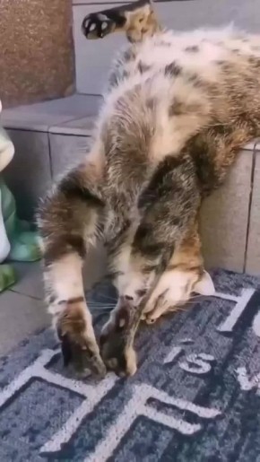 ���, �������. ����������� ���������� � ���� �� ������