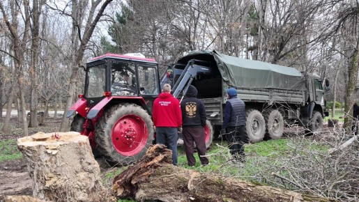 Порядка 200 тонн убранных деревьев из Крыма грели бойцов на фронте