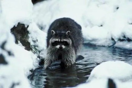 ������ ����, ������! �������� ��� ��� � ��������� ����������!