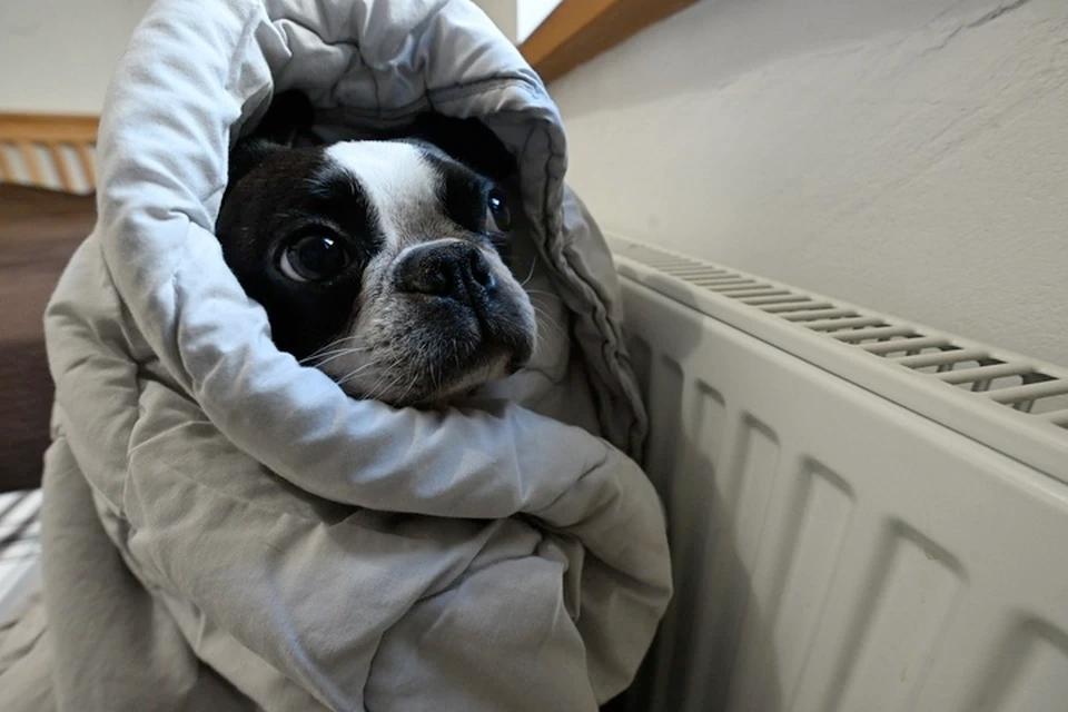 Балицкий: Тепло подано в два микрорайона Бердянска