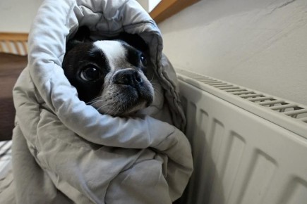 ��������: ����� ������ � ��� ����������� ���������