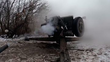 Расчеты Д-30 разнесли позиции украинских боевиков в Запорожской области