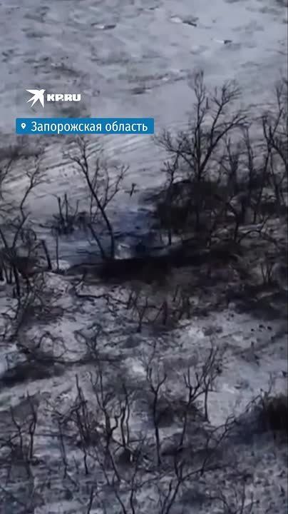 ����� ������� ����, ������ ����� ��� � ������� � �������: ������� ��� �������� �� ���������� �����������