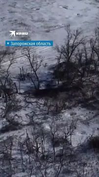 ����� ������� ����, ������ ����� ��� � ������� � �������: ������� ��� �������� �� ���������� �����������