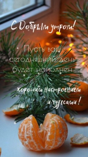 ������ ����, ������������. �������� ������, ��������� ������� � ������� ��������!