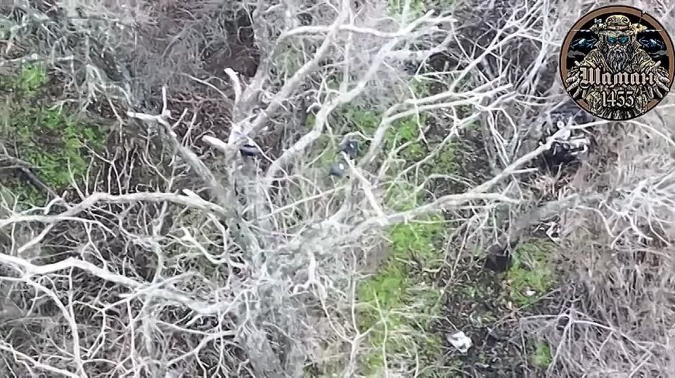 ���������� �����������. ���������