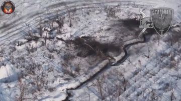 ����� ������ ������ ����� ������ �� 71-�� ������������ �����