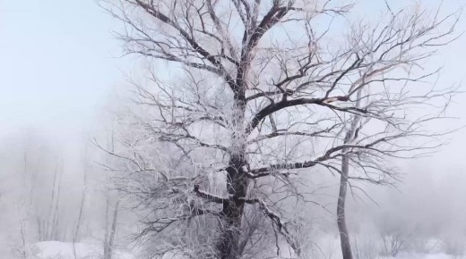 ������ ����!. ���� ������� ����� ������ ������ �� 40�C, ����������� ������� � ������� ������ ��������: �������� �� ��������� ����, ��������� ������ � �������� ����� ���������� � ���� � ����� ����� ����� ���������� �����!...