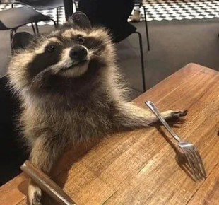 ������ ����, ������! �������� ��� ��� � ��������� ����������!