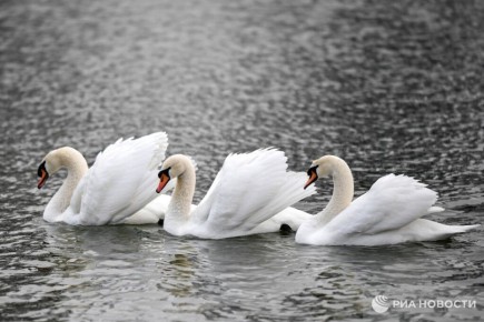 Погода на новых территориях России