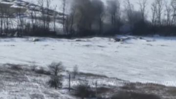 �������� ������ ����������-������������� 305 ������� 5 ����� ����������� ����� "������" �� ����������� ������� ����� ���������� ������������ ����������� "����������"