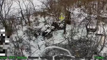 ���������� �����������. ������ ���������� ������� ������ 4-� ������� ���� �� ��������� � �������� ��� � ������ ��.������ ������������