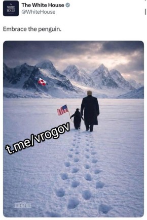 Владимир Рогов: О Белом доме и пингвинах. Белый дом запустил странный флешмоб, посвящённый Гренландии, под названием - "обними пингвина"