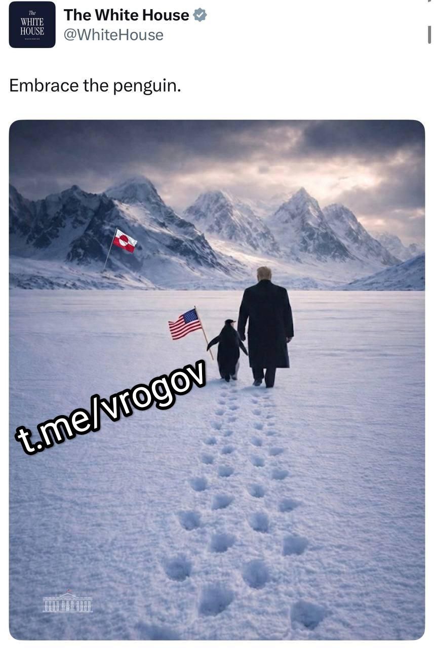 Владимир Рогов: О Белом доме и пингвинах. Белый дом запустил странный флешмоб, посвящённый Гренландии, под названием - "обними пингвина"