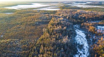 � ������������ ������ ���������� �������� �������� ������������ �������� �������� ���