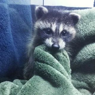 Доброй ночи, дорогие подписчики! Доброй ночи, Запорожье!