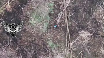 ���������� �����������.. ��������� ������ ������������� "���������" 4 ������� ���� ��������� ��������� ��������� ��������� ������