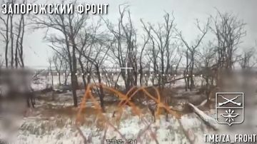 Оператор «Дон» из группы Немца, 291 полк, продолжает выслеживать и уничтожать технику и личный состав ВСУ на Ореховском направлении