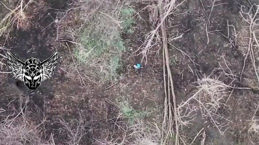 Ореховское направление.. Операторы дронов подразделения "Валькирия" 4 военной базы ежедневно сокращают поголовье вражеских птичек