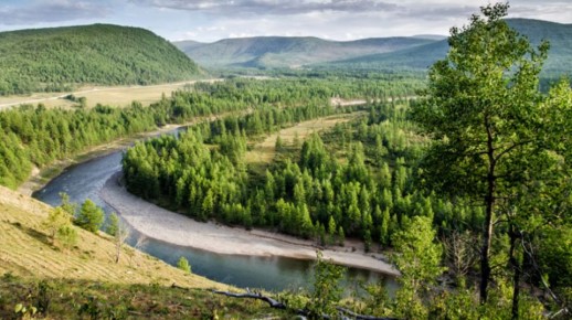 Природа возвращает свое. В Запорожской области создадут новую особо охраняемую природную зону федерального значения — национальный парк «Великий Луг»