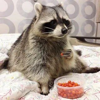 ������ ����, ������! �������� ��� ��� � ��������� ����������!