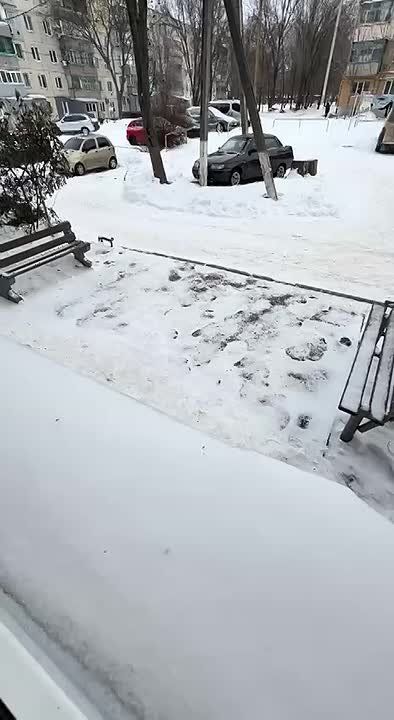������ ����������� ���� �������-3� ��� �������