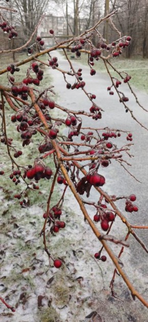 ������� ����! ����� ������ � ��� ����� � �����������, ����� ������ ������ ������� ������� ���������� � ����������� � ���, ��� �� ����� �������